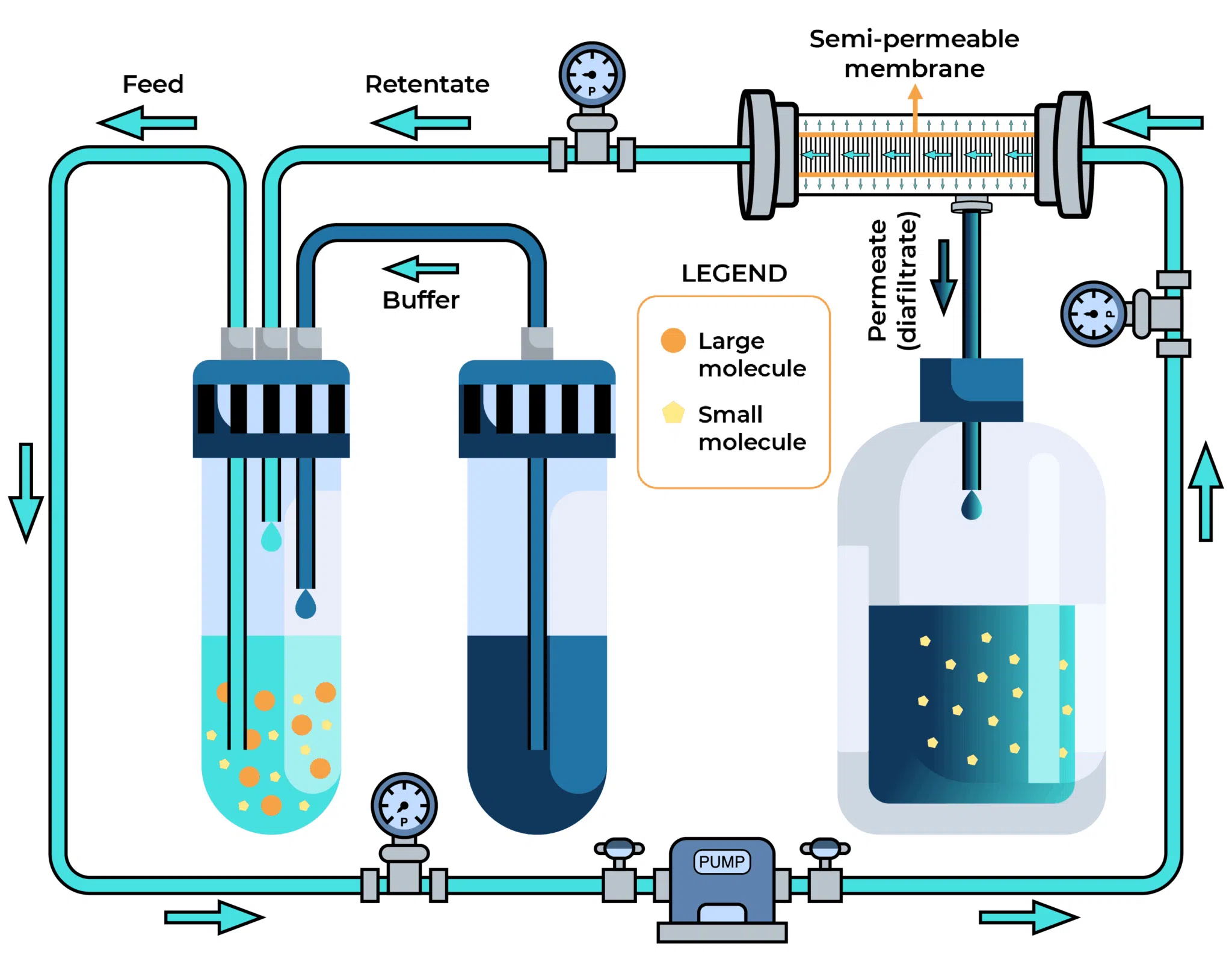 Buffer-Exchange-Bioconjugate-Cleanup-scaled.png