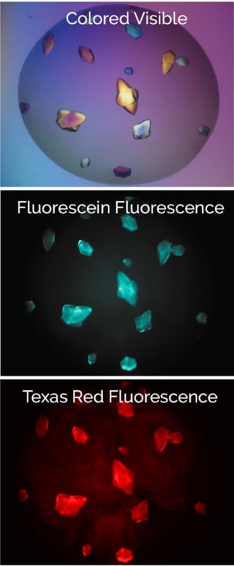 mfi-examples-1024x266-vertical