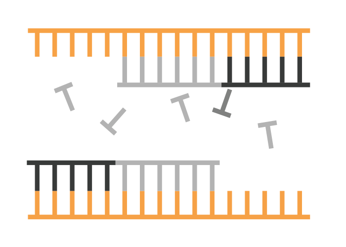 PCR-Technologies